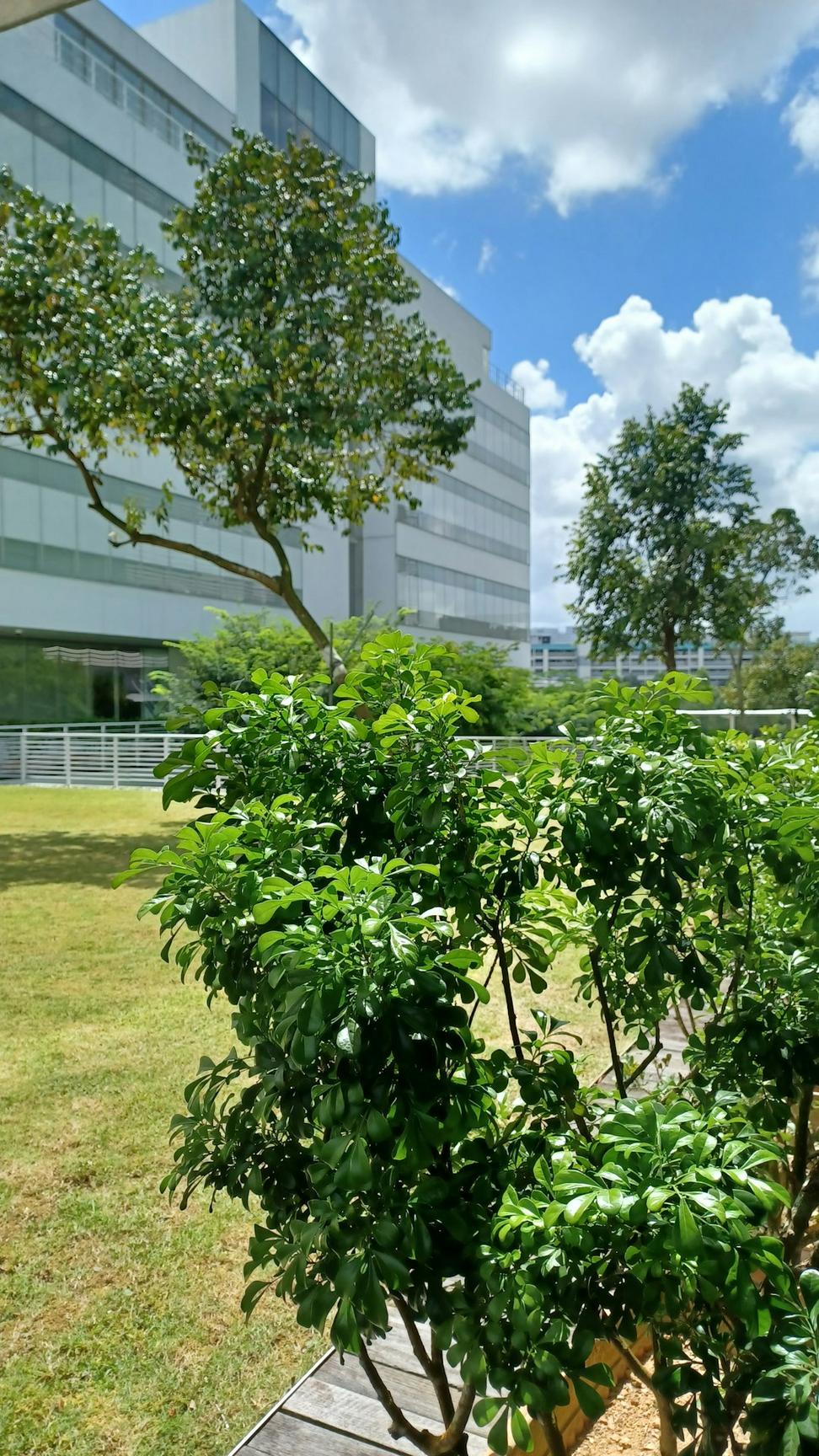 Coastal Logistics Hub